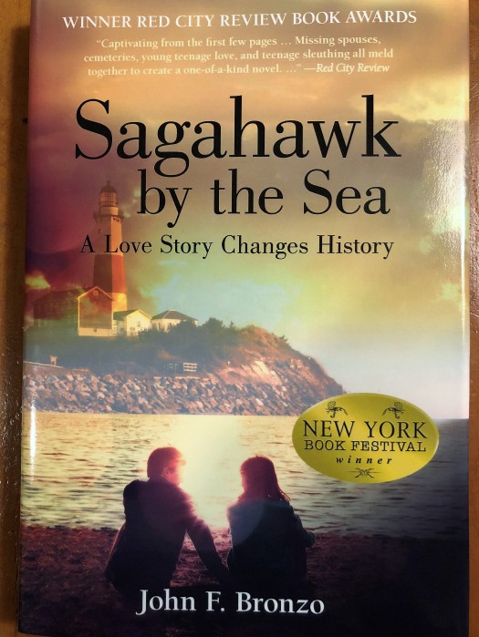Sagahawk Cover Photo